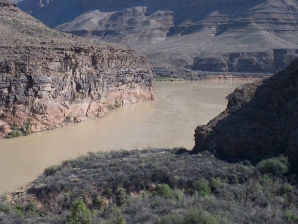 rzeka kolorado w wielkim kanionie widziana z helikoptera - canyon majestic grand canyon helicopter zdjęcia i obrazy z banku zdjęć