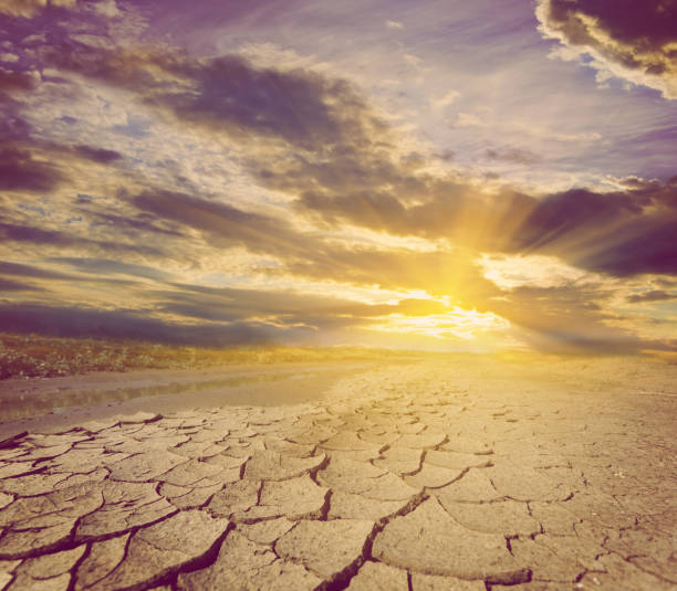 istock dry cracked land at the sunset, old stylized natural background 1143792292