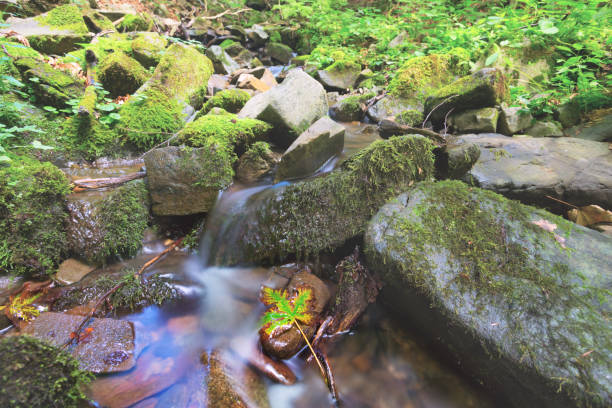 istock small brook rushing among a stones 1143792432