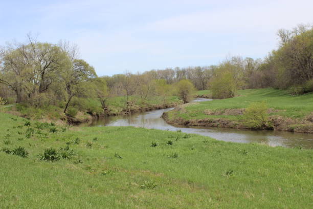 istock Reflections in Water in Pool in Bend in River in Missouri in Springtime 1143793883