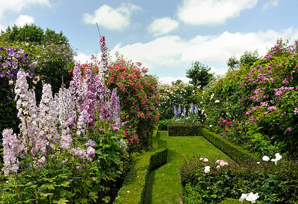 ogród letni - bush formal garden boxwood flower bed zdjęcia i obrazy z banku zdjęć