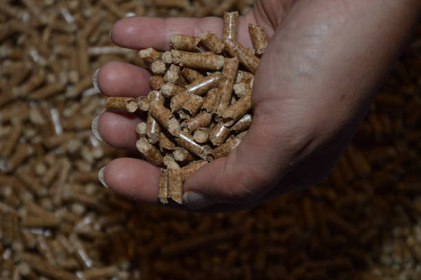 istock Zoom on a few Wood pellets 1143798817