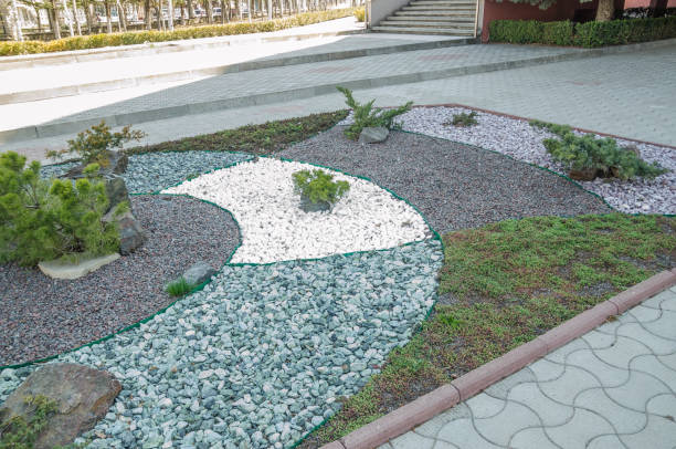 istock plants and little stones 1143805182