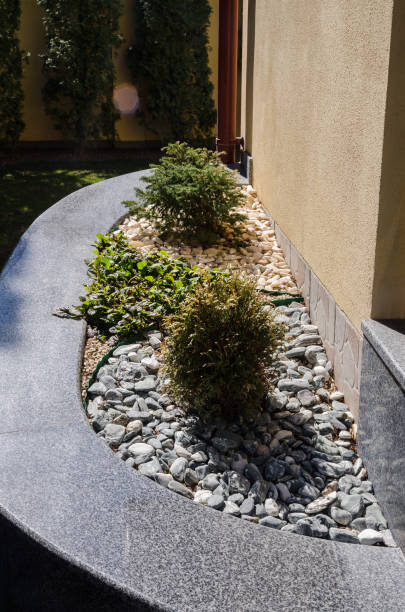 istock plants and little stones 1143808036