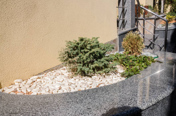 istock plants and little stones 1143808200