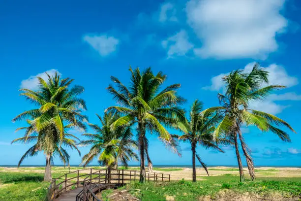 Photo of Aracaju, capital of the State of Sergipe