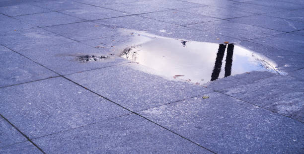 wet pavement of blue tiles in the park at rainy day. background, decoration.
