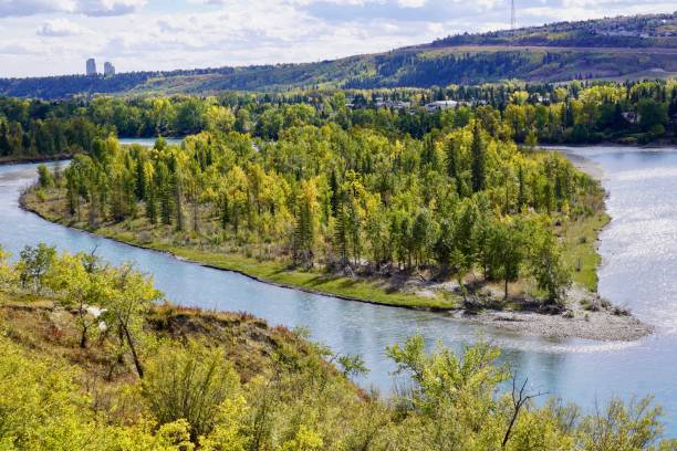 istock island of trees in river 1143816234