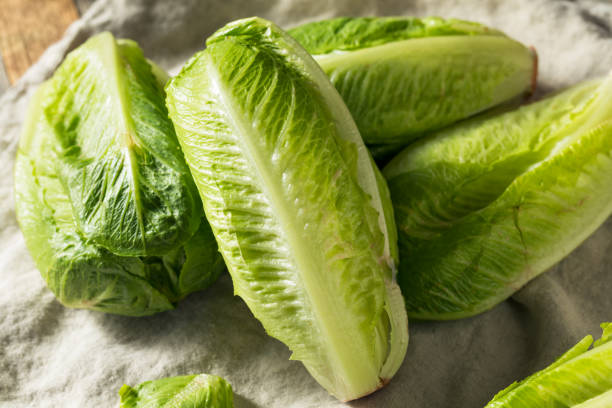 istock Organic Healthy Green Romaine Lettuce 1143816444