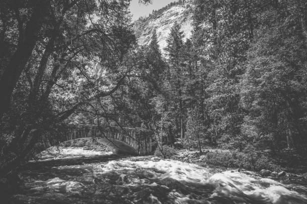 istock Yosemite National Park,USA 1143829916