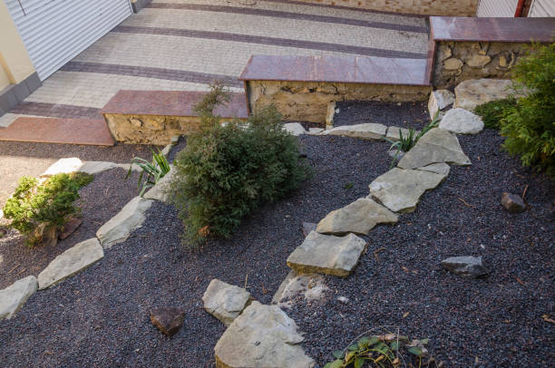 istock plants and little stones 1143837197