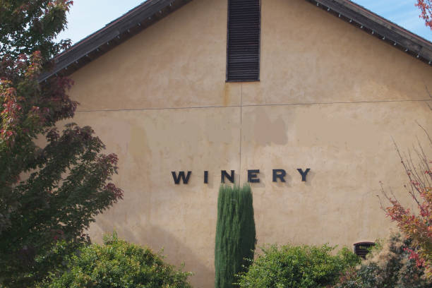 istock Beautiful California Winery 1143838556