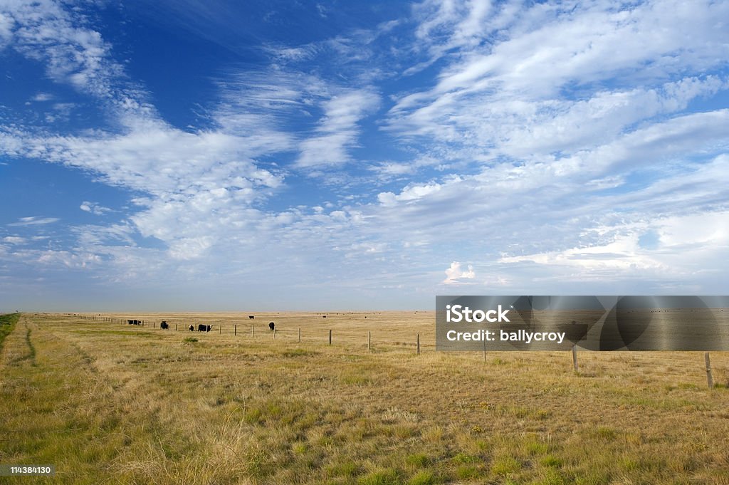 Prairie pittoresque - Photo de Agriculture libre de droits