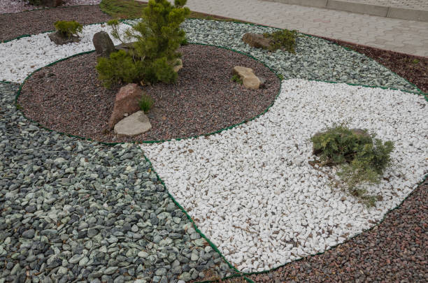 istock plants and little stones 1143841923