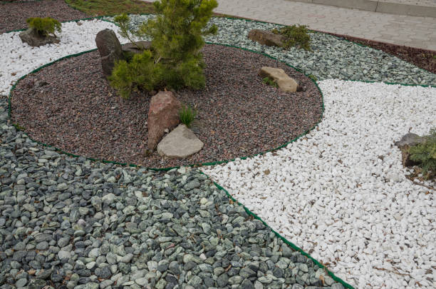 istock plants and little stones 1143841938