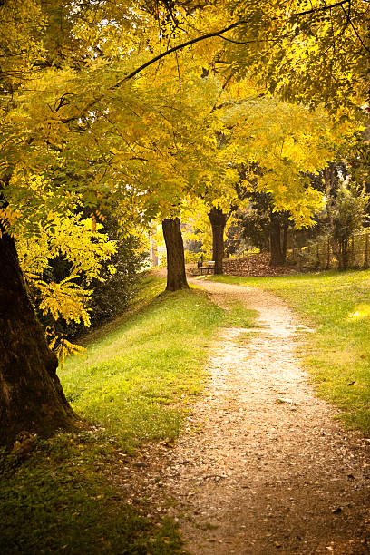 istock Public Park, Warm Autumn Colors 114384239