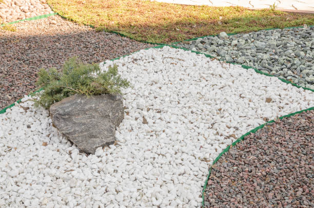 istock plants and little stones 1143842912