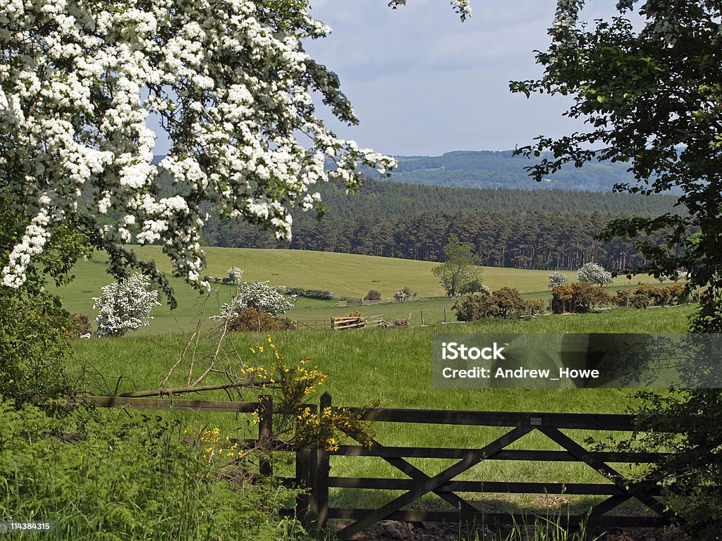 Вид сельской местности - Стоковые фото Англия роялти-фри
