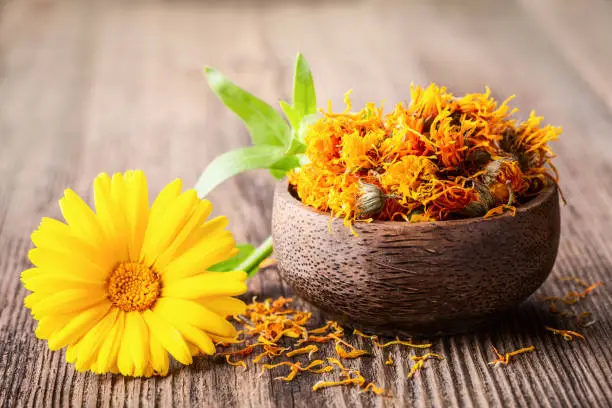 Photo of Dried and fresh marigold (calendula) flowers in a bowl on wooden rustic background space for text close-up.