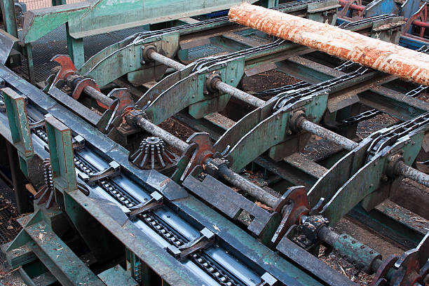 industrie du bois-des lignes de saw mill - unbarked timber photos et images de collection