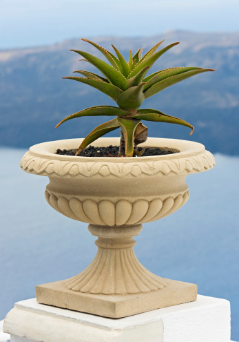 Traditional clay pots on display