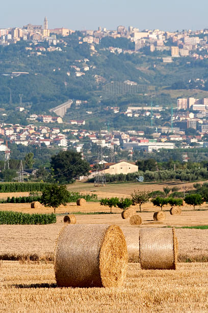 There are balls Straw bales on farmland. In the background the city of Chieti, Abruzzi, Italy chieti stock pictures, royalty-free photos & images