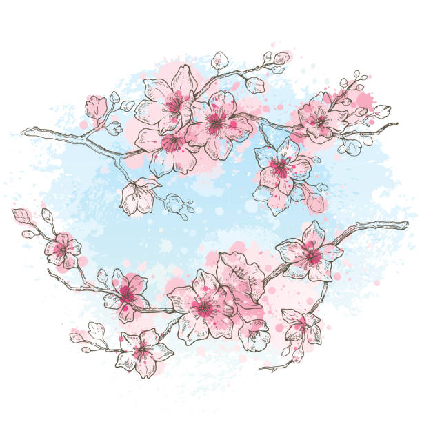 istock Cherry blossom, watercolor spring sakura flowers on sky blue background, hand drawn art set. Cute oriental painted plant. Botanil pastel vector illustration, isolated on white. Springtime sketch 1143862019