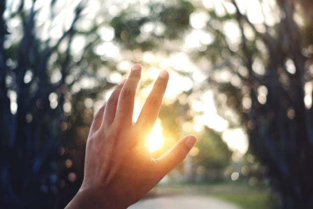 istock Life Concept. Human's Hand Raising into the Sky while Sunset. Blurred Tree as background. Start or End of the Day. Sun Flare Effect included 1143862062