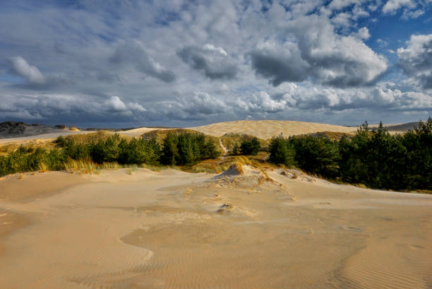 istock Moving sand dunes, Slowinski National Park, Leba, Poland 1143864549