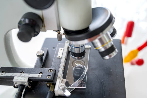 istock Scientist equipment and tools in scientific experiment science Laboratory 1143866231