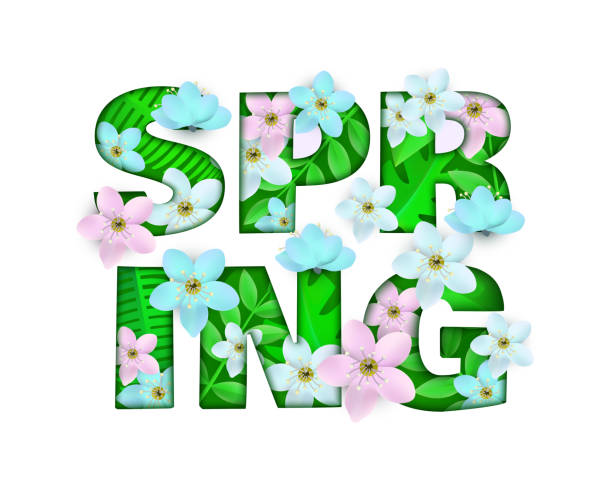 istock Vector illustration of Spring word floral design isolated on white background. 1143868475