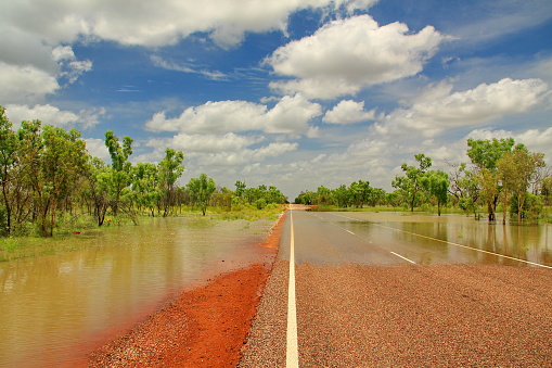 The wet season in Australian bush