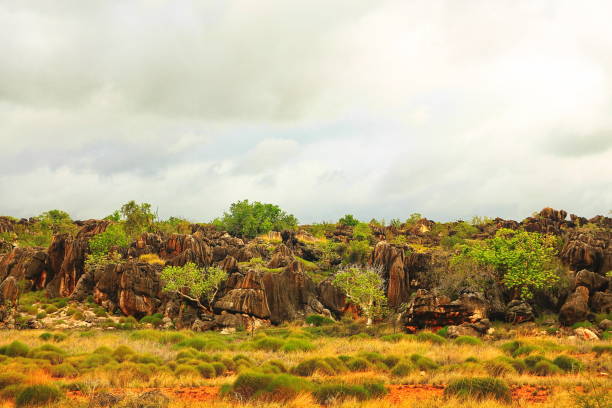 istock Kimberley landscape in rainy season 1143872126