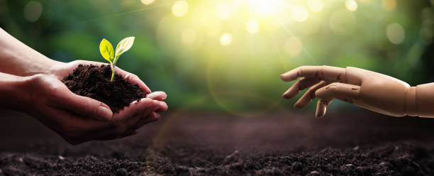 istock Save Earth. Green Planet in Your Hands. Environment Concept 1143875629