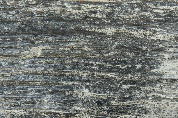 istock brown wood background , soft focus 1143882398