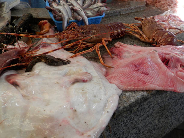 istock Fresh fish and seafood on display 1143882471