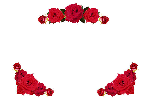istock Red roses frame border XXXL 114388293