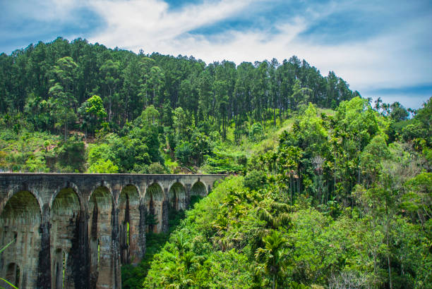 istock Nine arch bridge in Ella in Sri Lanka 1143885725