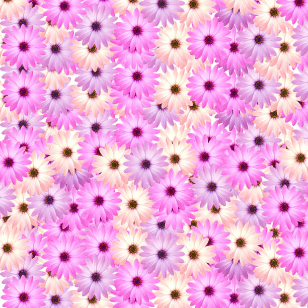 Square flora background XXXL. SEE ALSO MORE PHOTOS ISOLATED ON WHITE and
