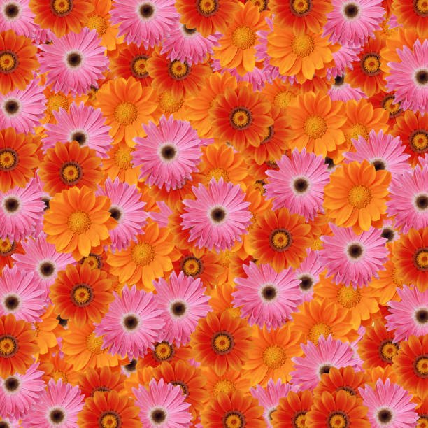istock Floral texture XXXL+ 114388669