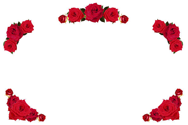 Rose rosse di confine cornice/XXXL - foto stock