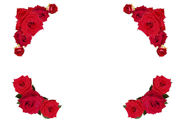 istock Red roses border/frame XXXL 114388672