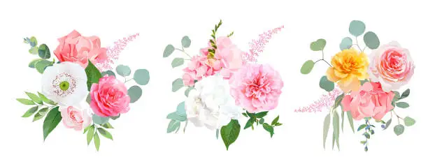 Vector illustration of Pink, coral and yellow rose, white hydrangea, carnation, papaver