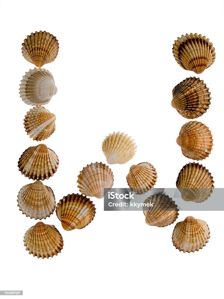 isolated shell letter W  Alphabet Stock Photo