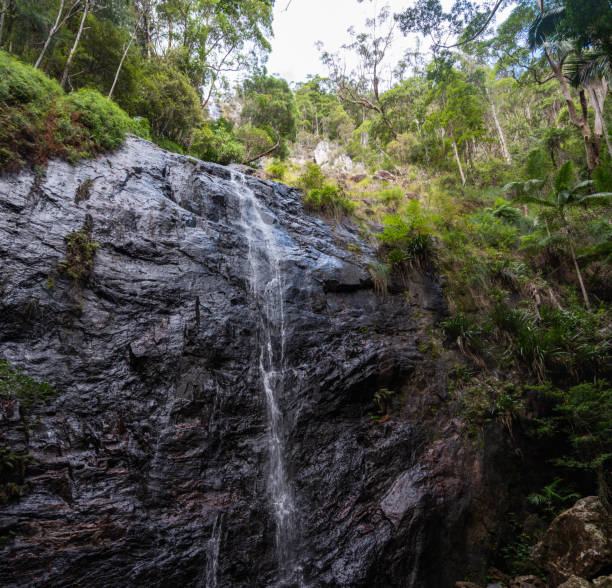 istock Beautiful landscape view of a forest with nice trees and waterfall 1143892292