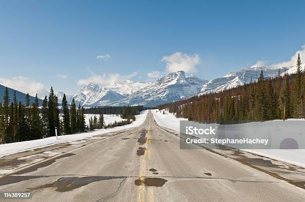 Sunny Droga W Górach - zdjęcia stockowe i więcej obrazów Alberta - Alberta, Asfalt, Bez ludzi
