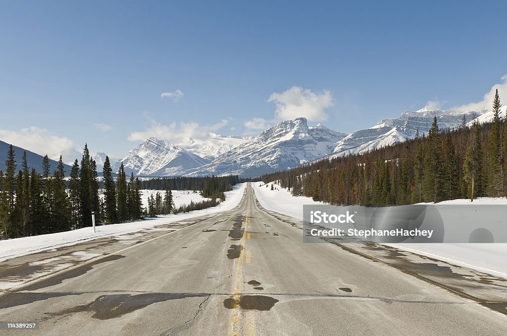 Sunny mountain road - Foto de stock de Alberta royalty-free