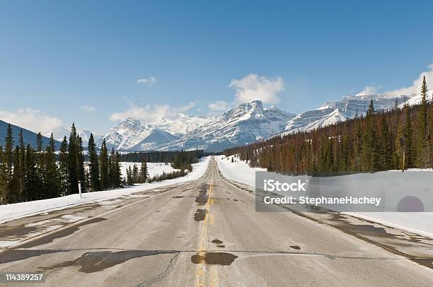 Foto de Sunny Mountain Road e mais fotos de stock de Alberta - Alberta, Atividade Recreativa, Beleza natural - Natureza