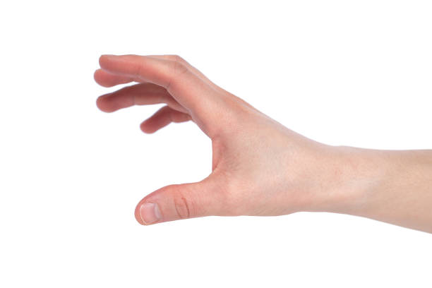 istock Human hand reaching for something isolated on white background 1143895420