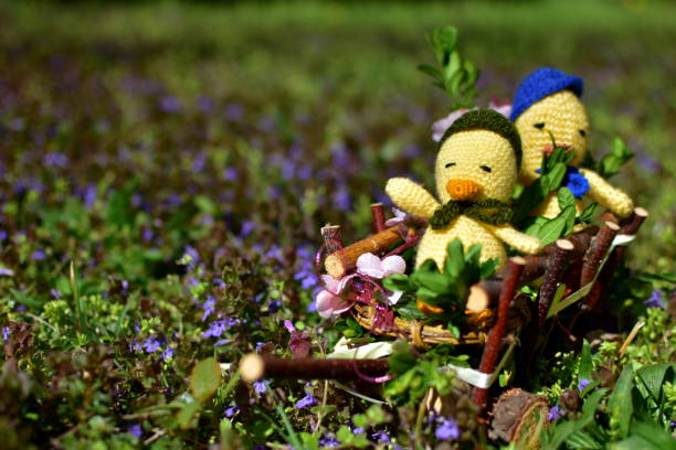 istock Ducks made of wool, Easter composition on the background of flowers. 1143897779